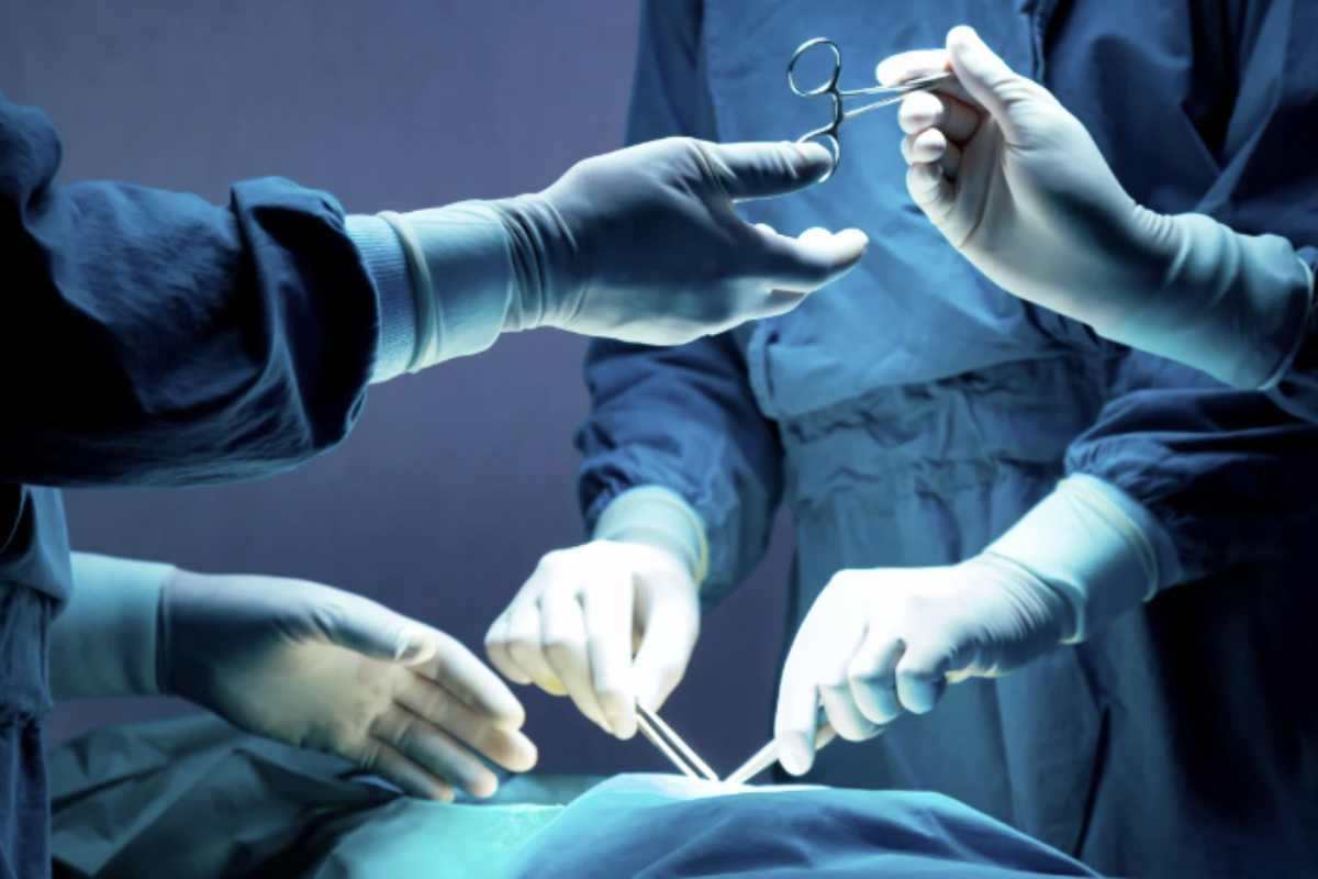 Il processo di creazione di una cornea biostampata inizia con il prelievo di una cornea sana da un donatore.